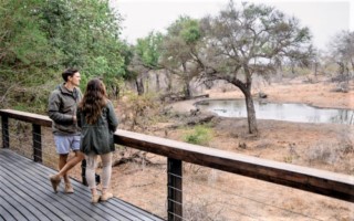 serondella [320x200]